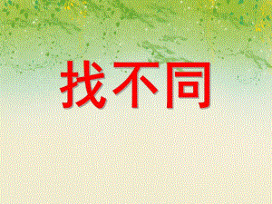 中班数学活动《找不同》PPT课件中班数学活动《找不同》PPT课件.ppt