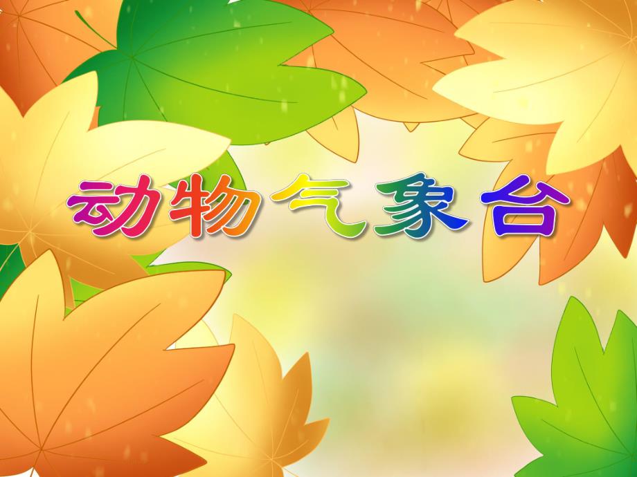 中班语言《动物气象台》PPT课件教案PPT课件.ppt_第1页