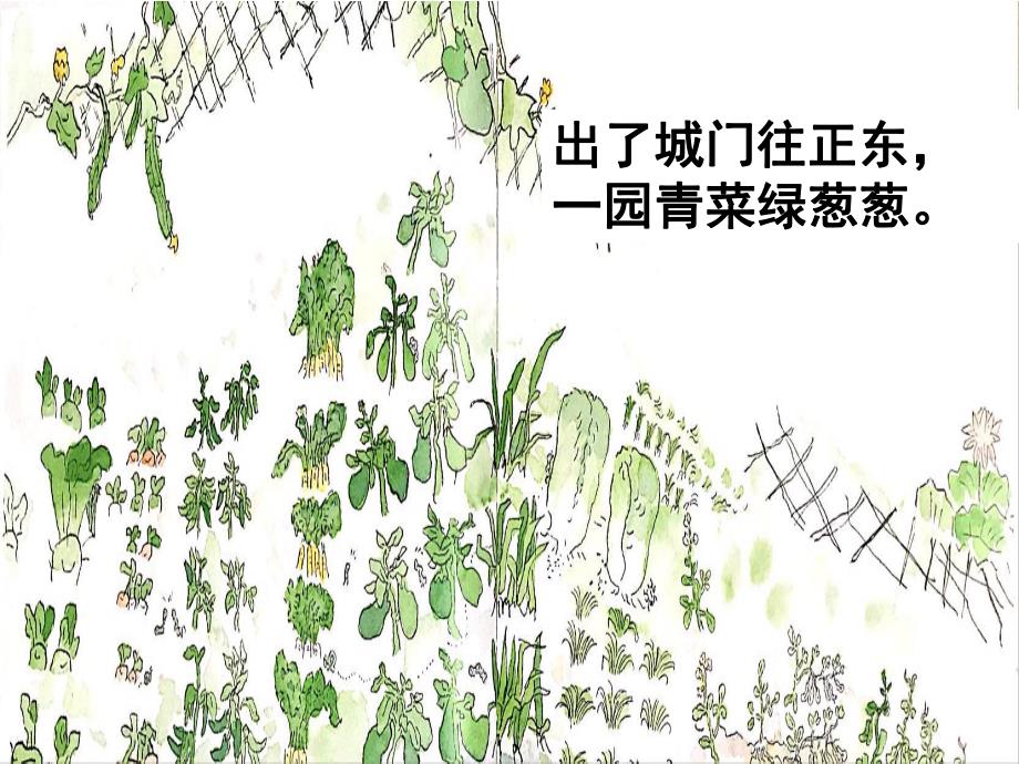 蒋静大班语言《一园青菜成了精》all版本3一园青菜成了精.pptx_第2页