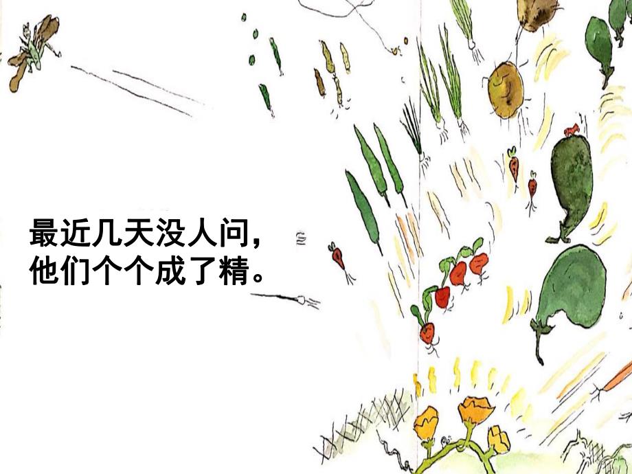 蒋静大班语言《一园青菜成了精》all版本3一园青菜成了精.pptx_第3页