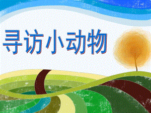 幼儿园《寻访小动物》PPT课件2.1寻访小动物》PPT课件.pptx