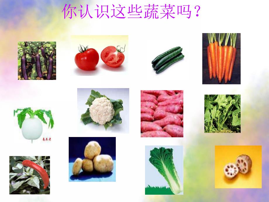 小班音乐《可爱的蔬菜》PPT课件教案配乐小班音乐《可爱的蔬菜宝宝》参考.pptx_第2页