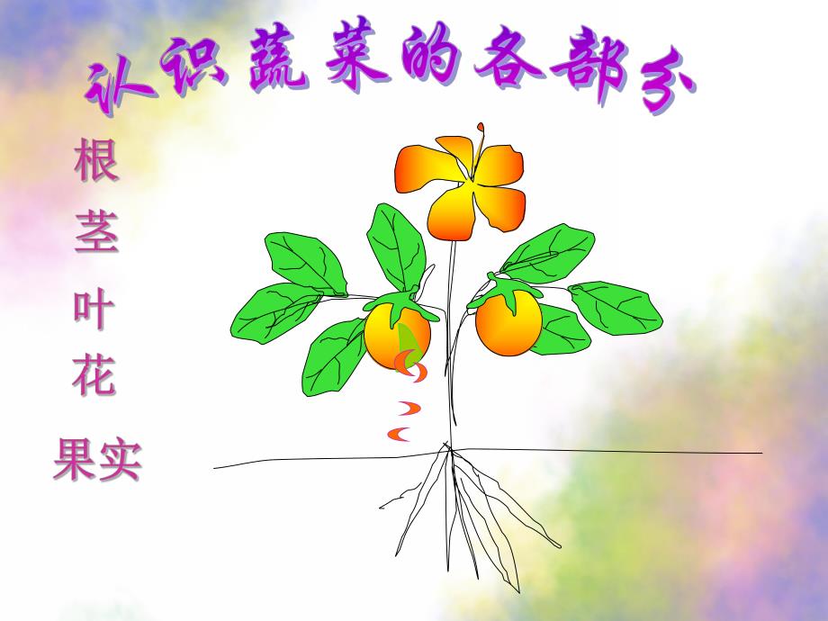 小班音乐《可爱的蔬菜》PPT课件教案配乐小班音乐《可爱的蔬菜宝宝》参考.pptx_第3页