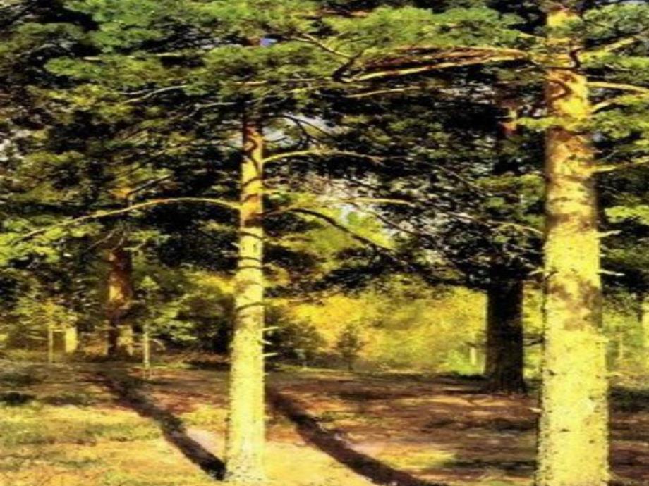 中班美术《小树林变了》PPT课件教案PPT课件.ppt_第2页