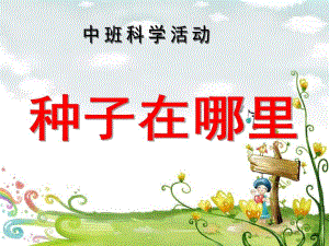 中班科学《种子在哪里》PPT课件教案ppt课件.ppt