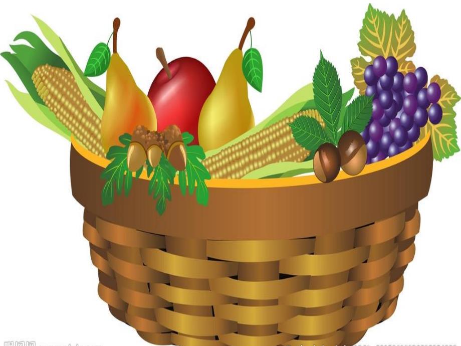 中班数学《水果丰收了》PPT课件中班数学《水果丰收了》PPT课件.ppt_第3页