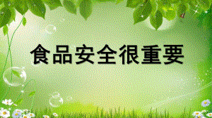 幼儿园《食品安全很重要》PPT课件.pptx