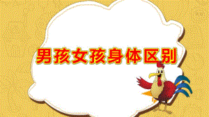 幼儿园男孩女孩身体区别PPT课件教案中班健康《不能碰的身体部位》课件.pptx