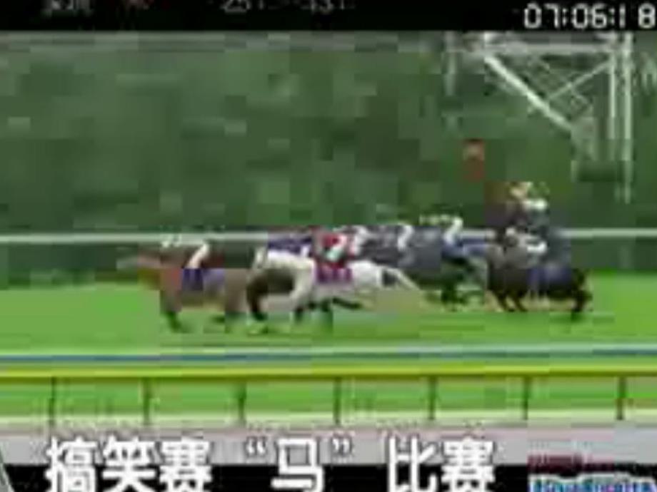 小班蒙氏阅读《谁会跑》PPT课件谁会跑.pptx_第2页