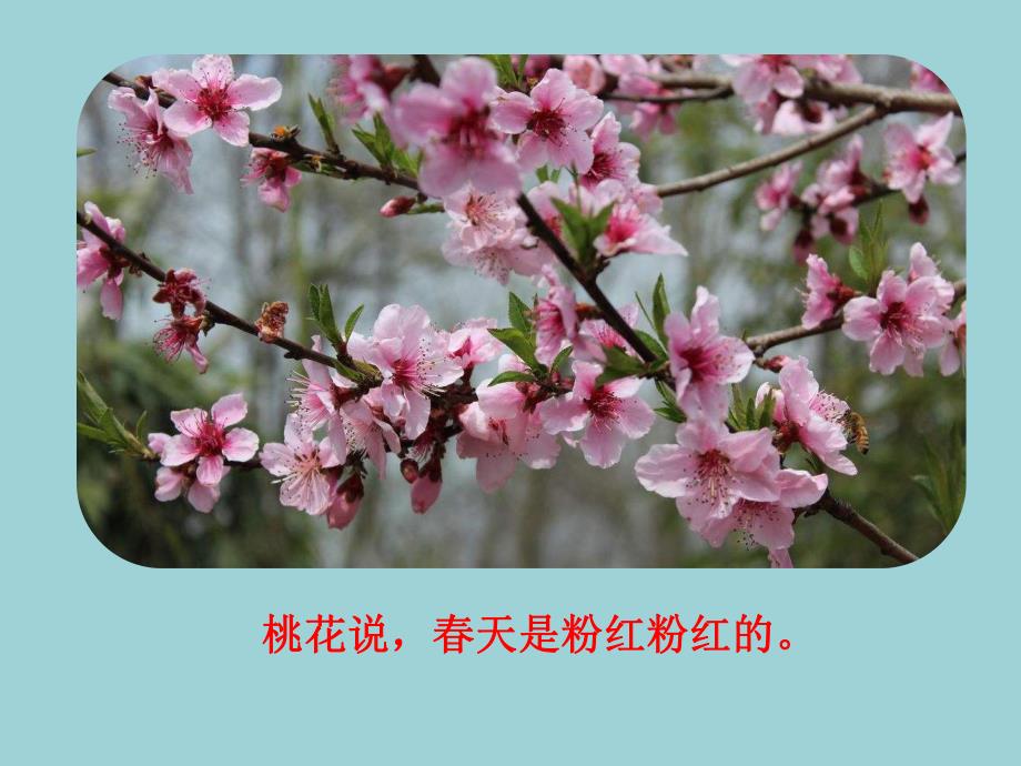 小班综合《春天的颜色》PPT课件小班综合春天的颜色.pptx_第3页