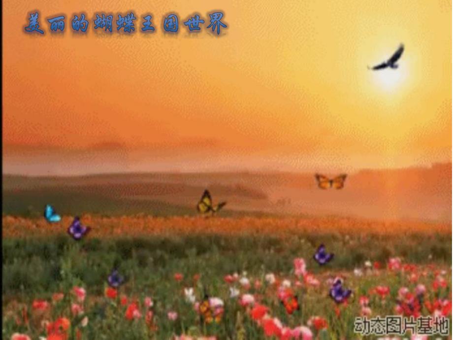 中班美术活动《美丽的蝴蝶》PPT课件教案PPT课件.ppt_第3页