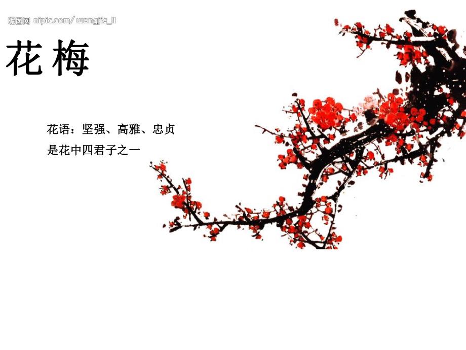 中班美术《点吹梅花》PPT课件中班美术《点吹梅花》PPT课件.ppt_第3页