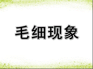 幼儿园毛细现象PPT课件教案图片毛细现象——会爬高的水.pptx
