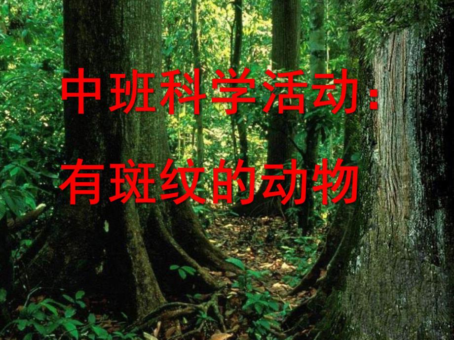 中班科学《有斑纹的动物》PPT课件教案中班科学有斑纹的动物演示文稿.ppt_第1页