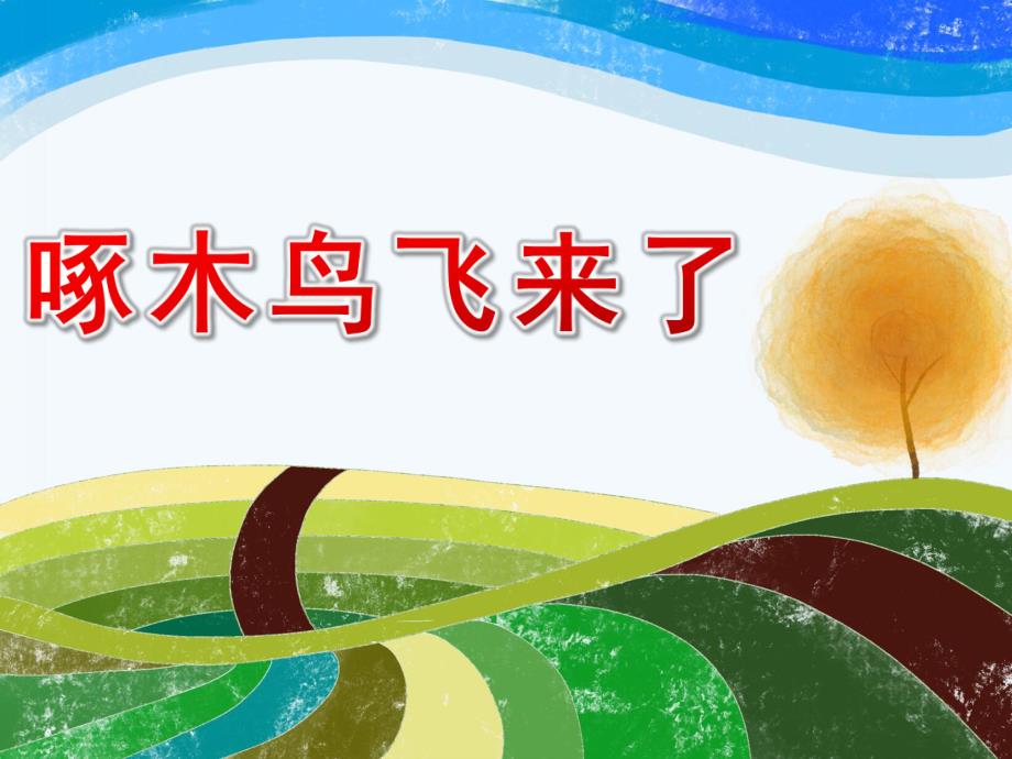 中班音乐《啄木鸟飞来了》PPT课件教案音乐啄木鸟.ppt_第1页