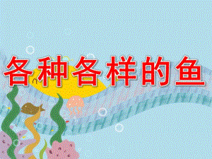 幼儿园科学《各种各样的鱼》PPT课件教案PPT课件.pptx