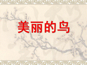中班综合《美丽的鸟》PPT课件教案综合：爱鸟周.ppt