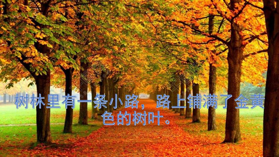 小班语言《神奇的小路》PPT课件教案小班语言课件:神奇的小路.pptx_第2页
