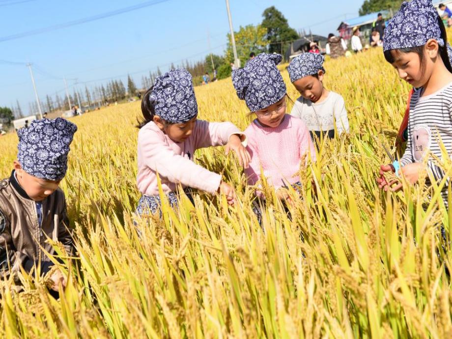 我们的游计划PPT课件教案图片PPT课件.pptx_第3页