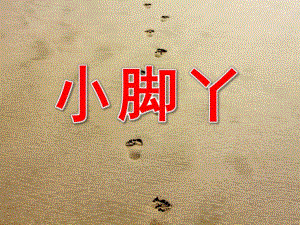 中班健康《可爱的小脚丫》PPT课件教案PPT课件.ppt