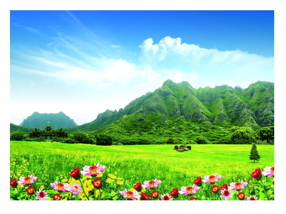 中班美术《盲女》PPT课件教案中班美术欣赏《盲女》.ppt_第3页