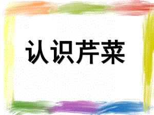 中班科学《认识芹菜》课件PPT教案认识芹菜.ppt