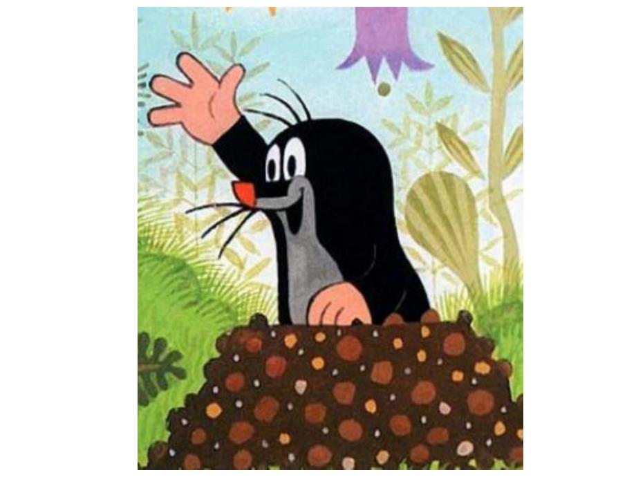 小班科学《好玩的洞洞》小班科学《好玩的洞洞》课件.pptx_第3页