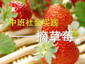 中班社会《摘草莓》PPT课件摘草莓.ppt
