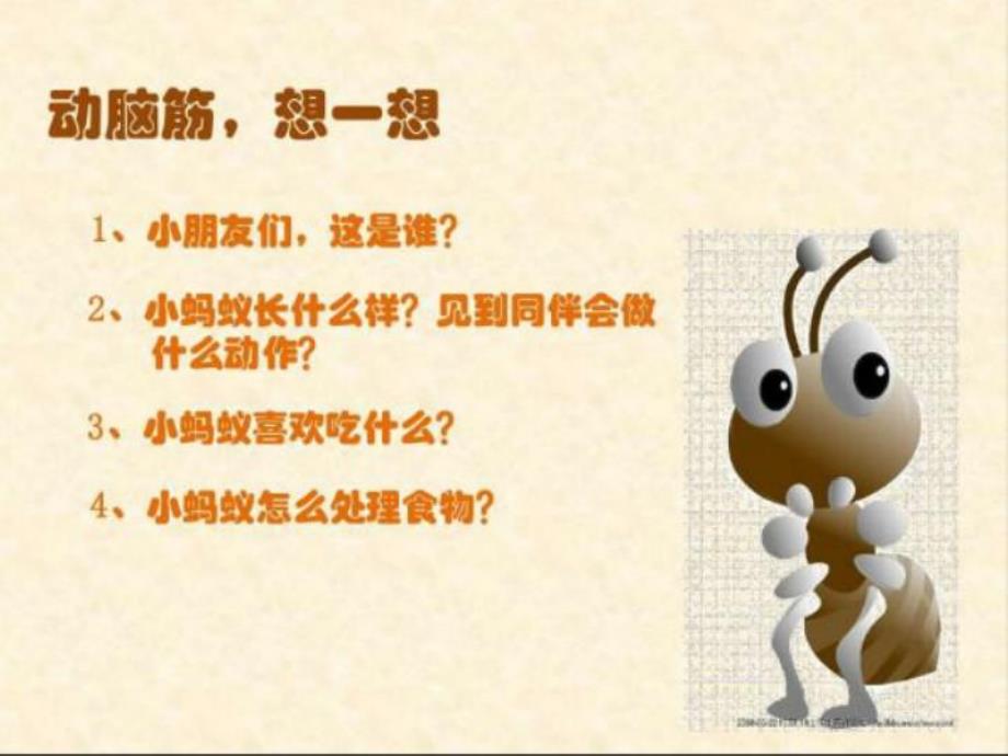 中班科学活动《勤劳的小蚂蚁》PPT课件中班科学活动《勤劳的小蚂蚁》PPT课件.ppt_第3页