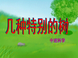 中班科学《几种特别的树》PPT课件几种特别的树.ppt