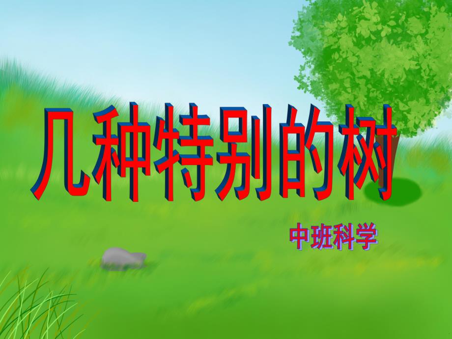 中班科学《几种特别的树》PPT课件几种特别的树.ppt_第1页