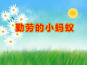 勤劳的小蚂蚁PPT课件教案图片中班科学活动《勤劳的小蚂蚁》PPT课件.ppt
