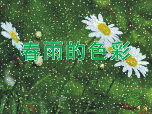 中班语言《春雨的色彩》PPT课件教案配音音乐ppt课件.ppt