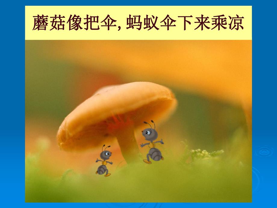 中班语言诗歌《伞》PPT课件中班诗歌《伞》.ppt_第3页