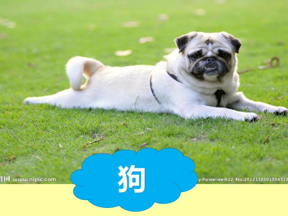 幼儿园古诗《咏鹅》PPT课件教案古诗《咏鹅》PPT.pptx_第2页