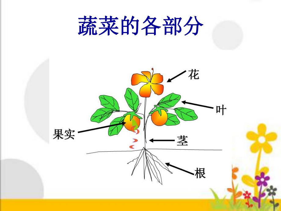 中班科学优质课《认识蔬菜》PPT课件中班科学优质课《认识蔬菜》PPT课件.ppt_第2页
