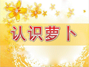 小班科学《认识萝卜》PPT课件教案小班科学认识萝卜.pptx