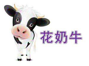 中班美术《花奶牛》PPT课件教案奶牛花花.ppt