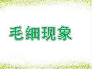 毛细现象PPT课件教案图片毛细现象——会爬高的水.pptx