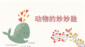 中班科学《动物的妙妙脸》PPT课件教案.ppt