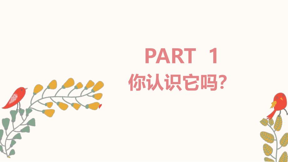 中班科学《动物的妙妙脸》PPT课件教案.ppt_第2页