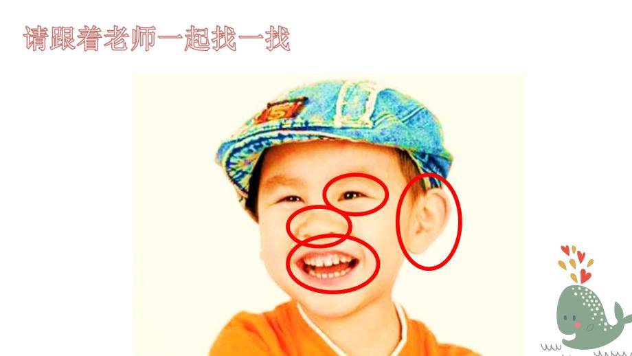 中班科学《动物的妙妙脸》PPT课件教案.ppt_第3页