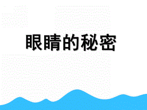 中班健康《眼睛的秘密》PPT课件教案眼睛的秘密.ppt