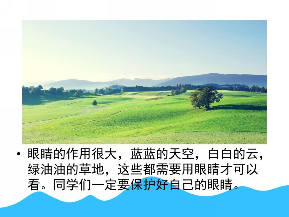 中班健康《眼睛的秘密》PPT课件教案眼睛的秘密.ppt_第3页