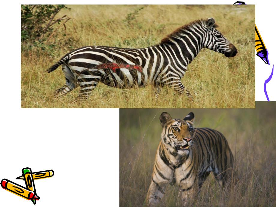 中班美术《借形添画》PPT课件中班美术：借形添画.ppt_第3页