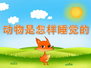 幼儿园《动物是怎样睡觉的》PPT课件教案PPT课件.pptx