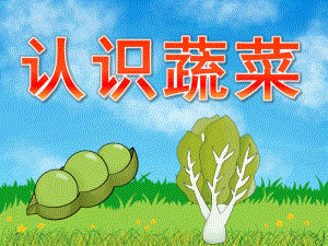 中班科学活动《认识蔬菜》PPT课件教案PPT课件.ppt