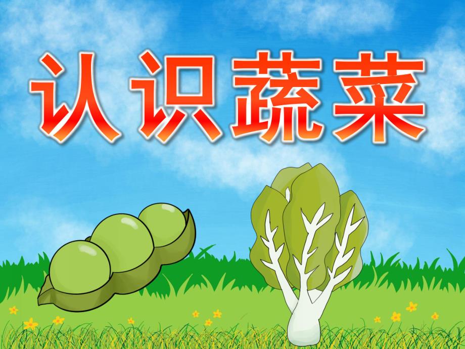 中班科学活动《认识蔬菜》PPT课件教案PPT课件.ppt_第1页