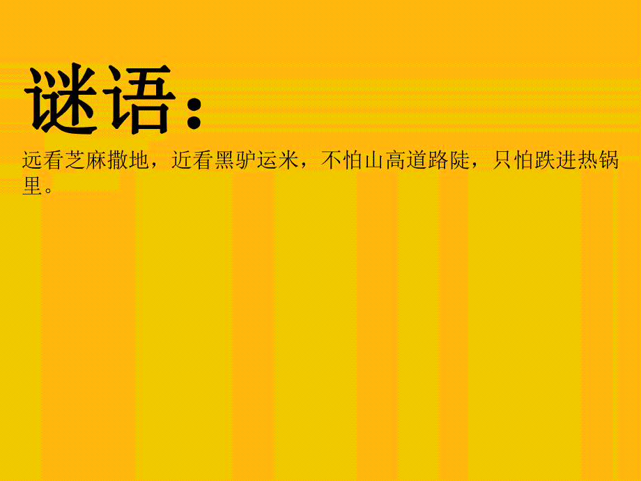 中班科学活动《有趣的蚂蚁》PPT课件教案.ppt_第2页