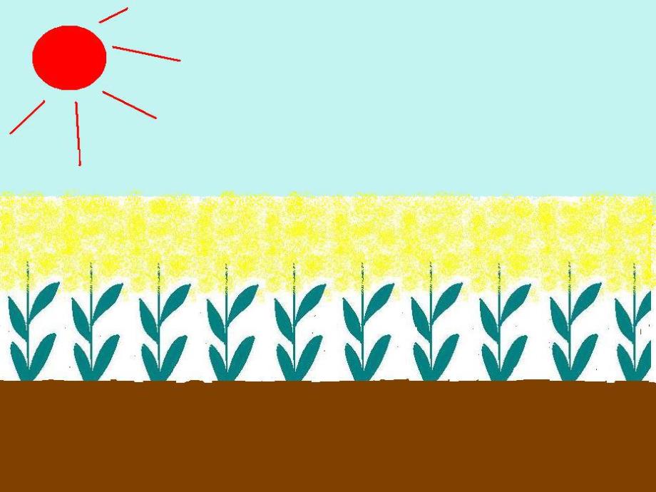 小班语言《开火车》PPT课件教案ppt课件.pptx_第3页